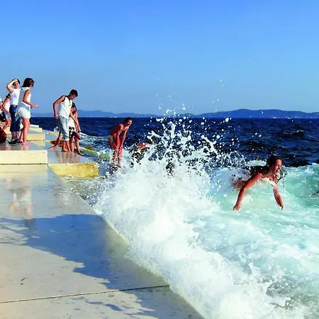 365 Πανσιόν
